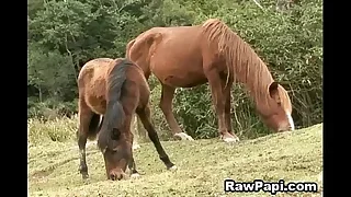 Gay Sex 4